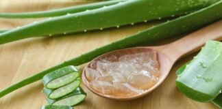 Benefici dell'Aloe Vera