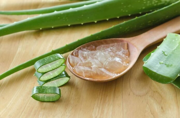 Benefici dell'Aloe Vera