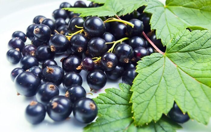 Cortisone, Lo Sai Che Esistono Alternative Naturali
