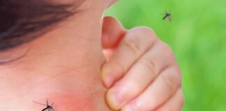 Rimedi Naturali per Allontanare le Zanzare