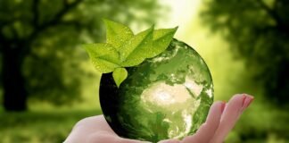 Alimentazione Sostenibile