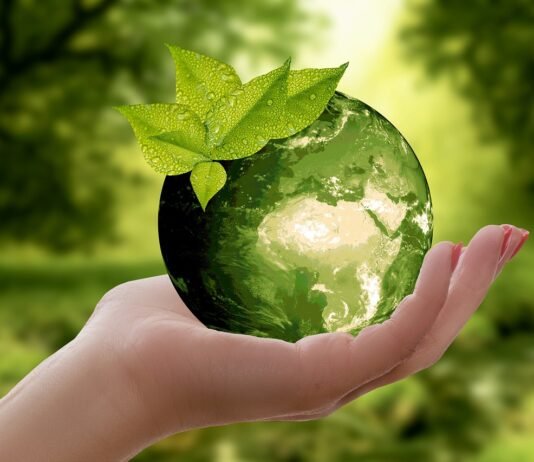 Alimentazione Sostenibile