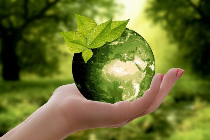 Alimentazione Sostenibile