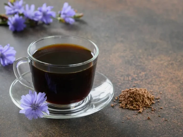 Caffè di Cicoria