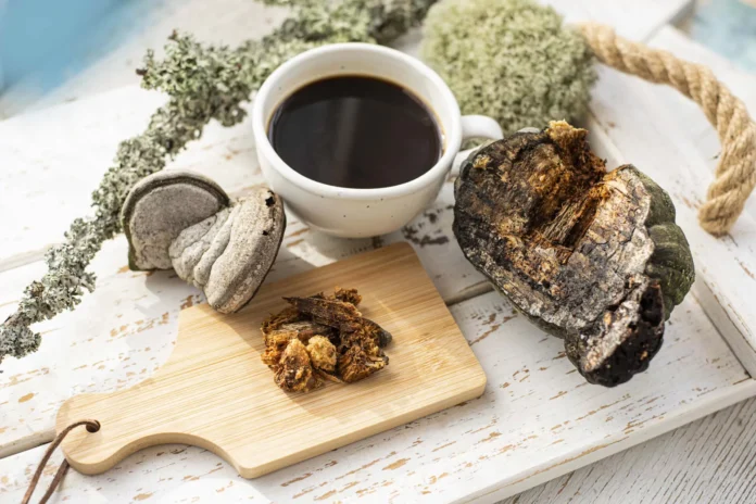 Chaga