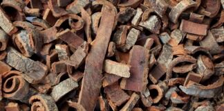 Magnolia Bark
