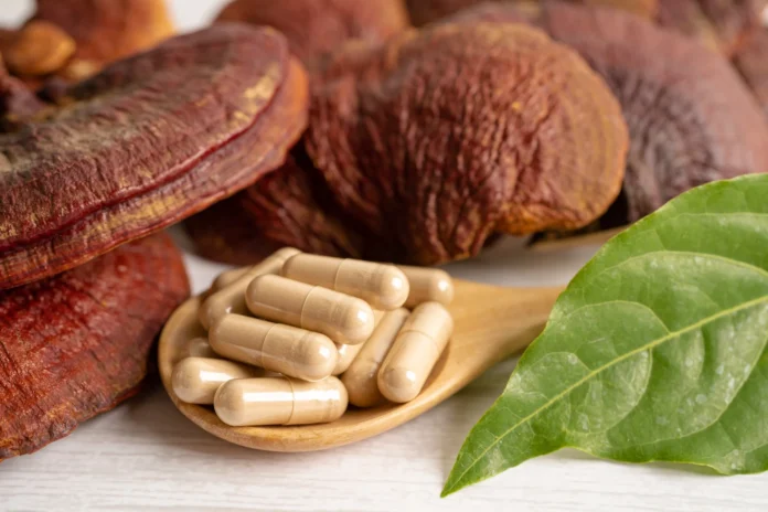 Reishi