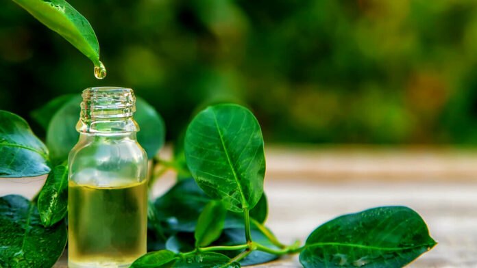 Tea Tree Oil