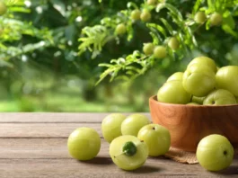 Amla