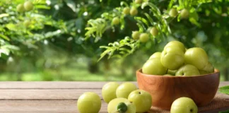 Amla