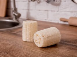 Luffa, La Spugna