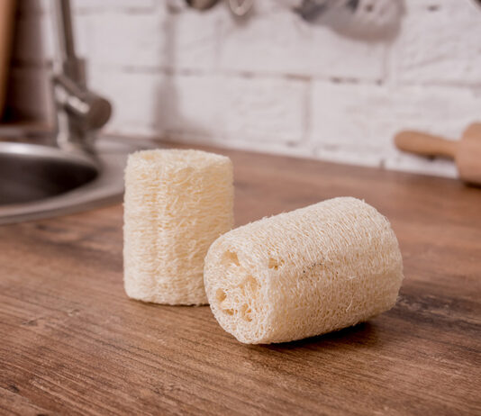 Luffa, La Spugna