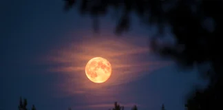 Luna Nuova