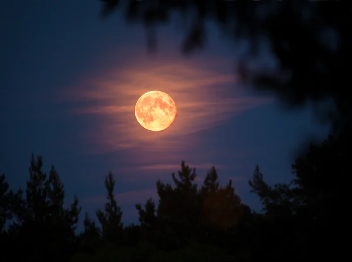 Luna Nuova
