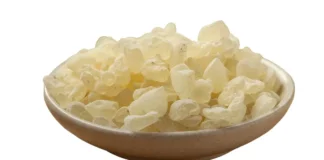 Mastice di Chio