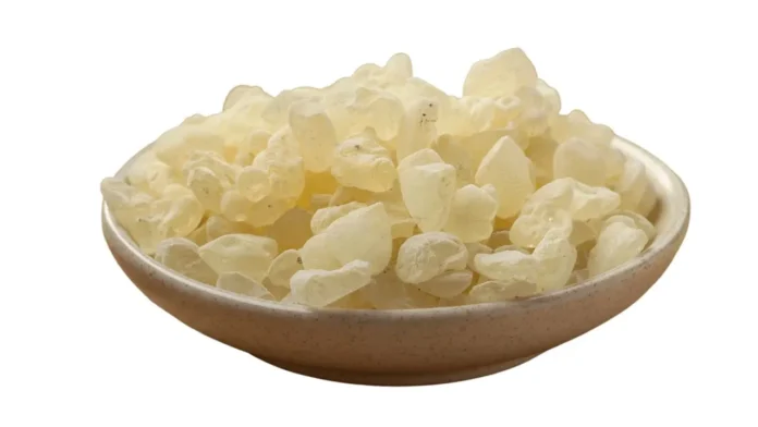 Mastice di Chio