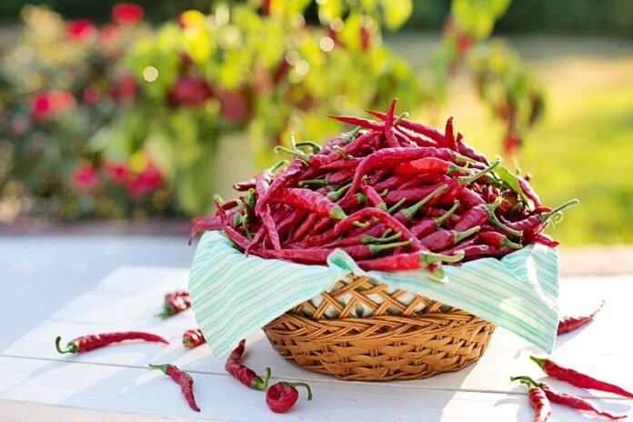 Peperoncino Cayenne