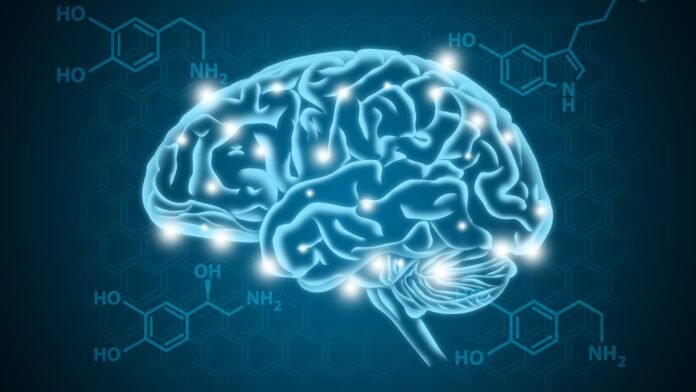 Serotonina