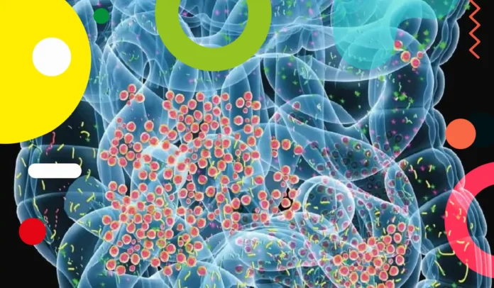 Alimentazione e Microbioma Intestinale