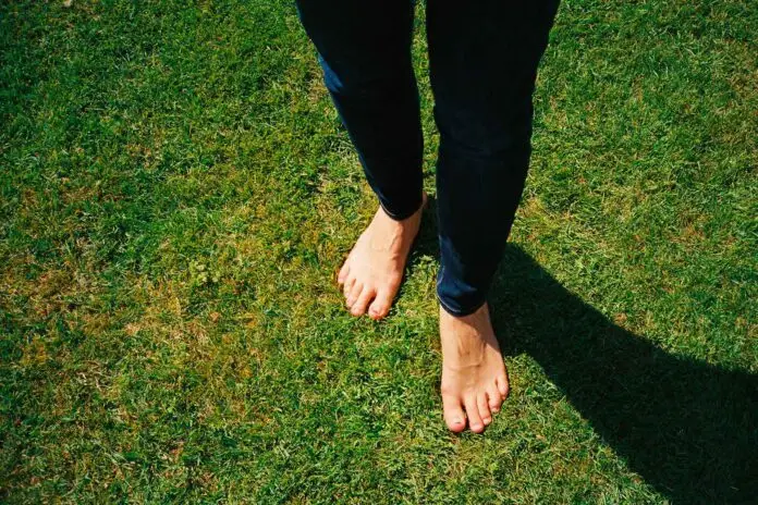 Meditazione Camminata
