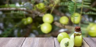 Olio di Amla